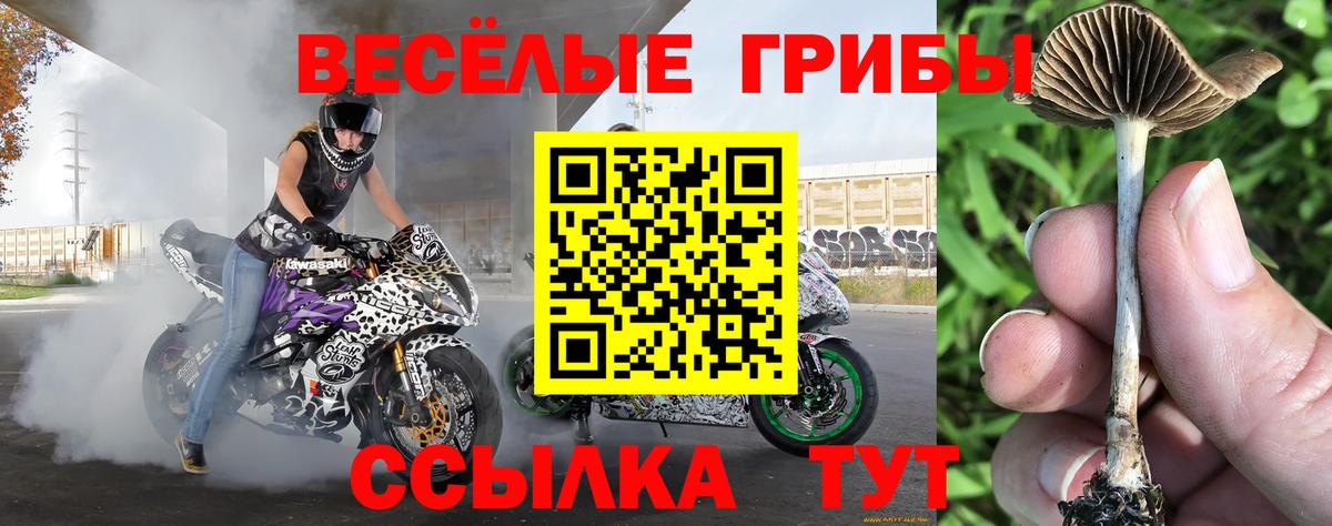 Санкт-Петербург  Галлюциногенные грибы мухоморы  Вход с VPN 
